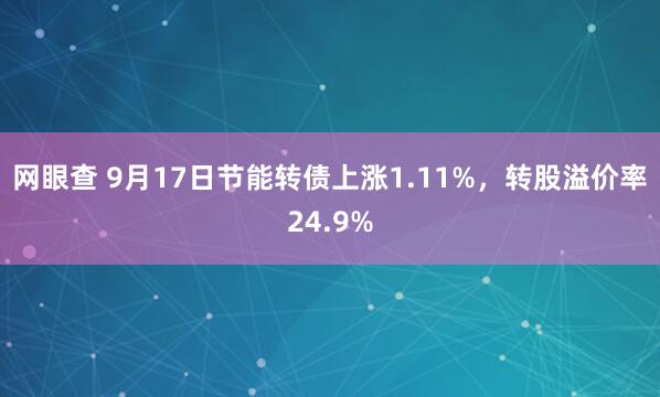 网眼查 9月17日节能转债上涨1.11%，转股溢价率24.9%